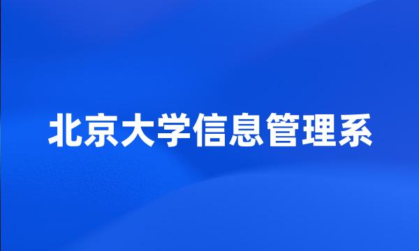 北京大学信息管理系