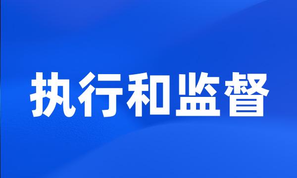 执行和监督