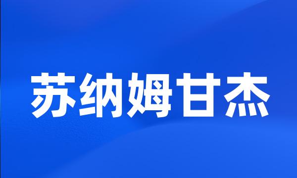 苏纳姆甘杰