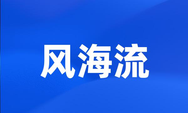 风海流