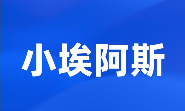 小埃阿斯