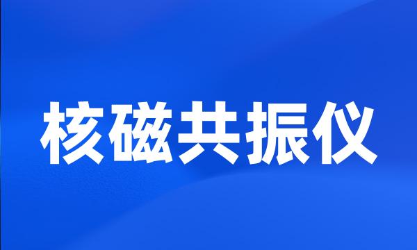 核磁共振仪