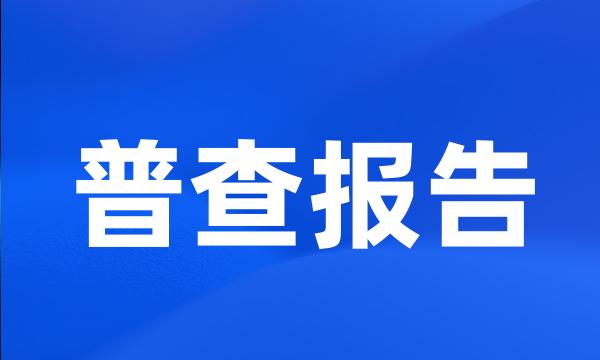 普查报告