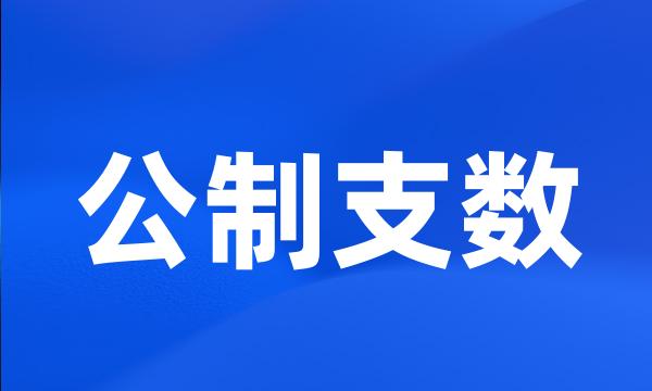 公制支数