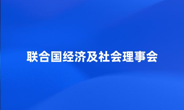 联合国经济及社会理事会
