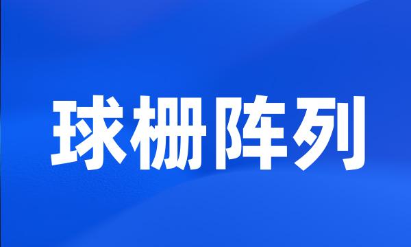 球栅阵列