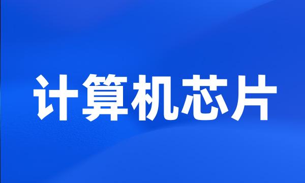 计算机芯片