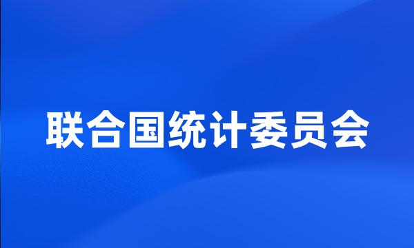 联合国统计委员会