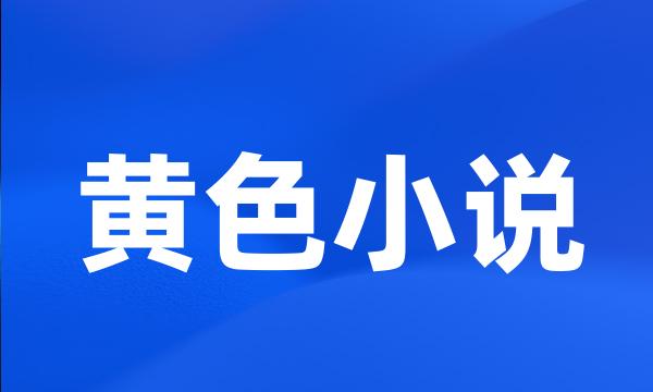 黄色小说