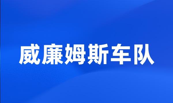 威廉姆斯车队