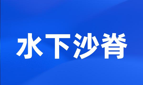 水下沙脊