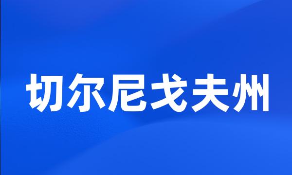 切尔尼戈夫州