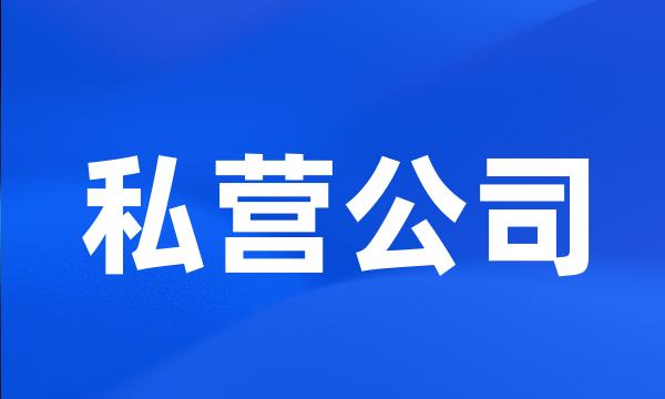 私营公司