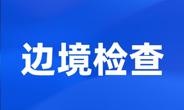 边境检查