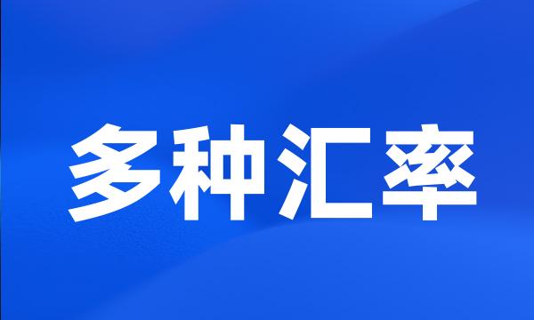多种汇率