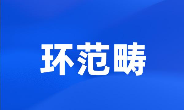 环范畴