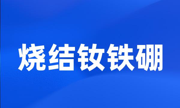 烧结钕铁硼