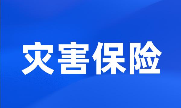 灾害保险