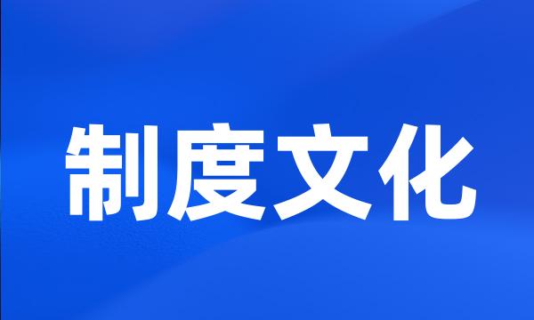 制度文化