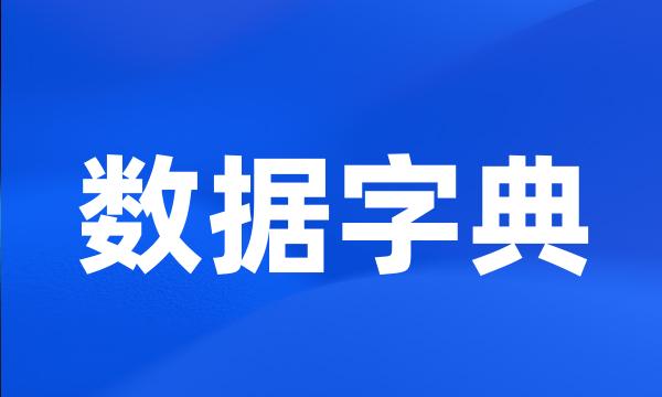 数据字典