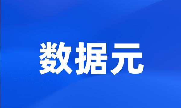 数据元