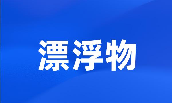 漂浮物