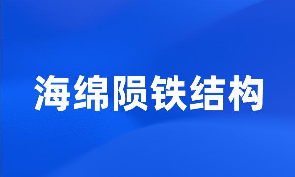 海绵陨铁结构